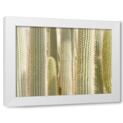 Towards the Sky White Modern Wood Framed Art Print by Allen, Kimberly