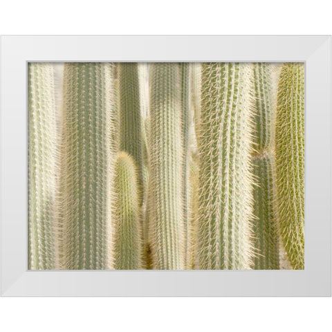 Towards the Sky White Modern Wood Framed Art Print by Allen, Kimberly