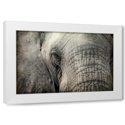 Gazing White Modern Wood Framed Art Print by Kimberly, Allen
