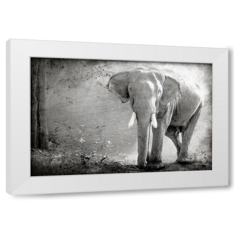 Olde Grey White Modern Wood Framed Art Print by Kimberly, Allen