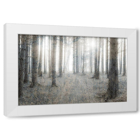 Forest Dream White Modern Wood Framed Art Print by Kimberly, Allen