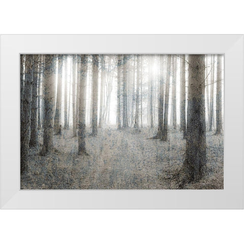 Forest Dream White Modern Wood Framed Art Print by Kimberly, Allen