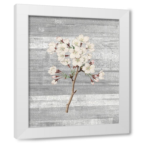Cherry Blossom 1 White Modern Wood Framed Art Print by Kimberly, Allen
