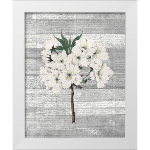 Cherry Blossom 2 White Modern Wood Framed Art Print by Kimberly, Allen
