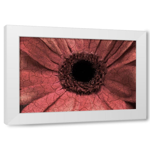 Bloom Center White Modern Wood Framed Art Print by Kimberly, Allen