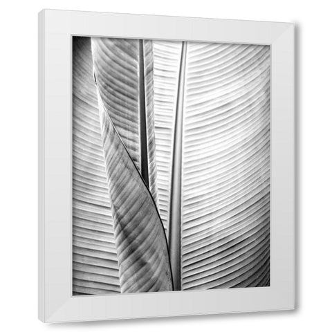 Metal BW Plant 1 White Modern Wood Framed Art Print by Allen, Kimberly