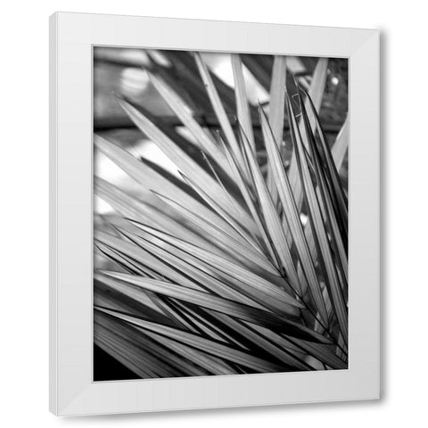 Metal BW Plant 2 White Modern Wood Framed Art Print by Allen, Kimberly