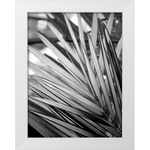 Metal BW Plant 2 White Modern Wood Framed Art Print by Allen, Kimberly