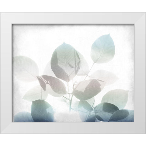 Antiqued Leaves 2 v2 White Modern Wood Framed Art Print by Kimberly, Allen