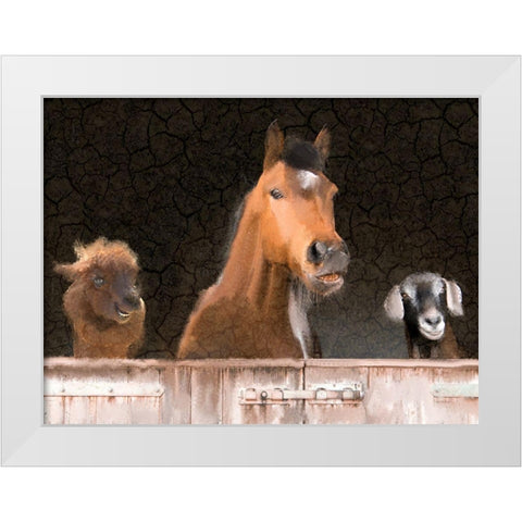 Smiles from the Barn White Modern Wood Framed Art Print by Kimberly, Allen