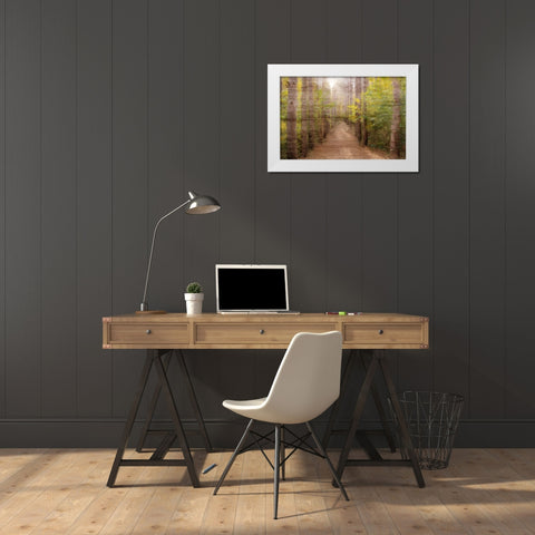 Sunlight Path White Modern Wood Framed Art Print by Kimberly, Allen