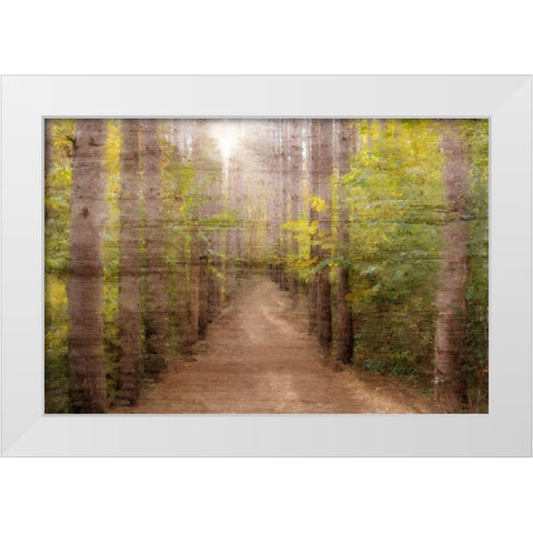 Sunlight Path White Modern Wood Framed Art Print by Kimberly, Allen
