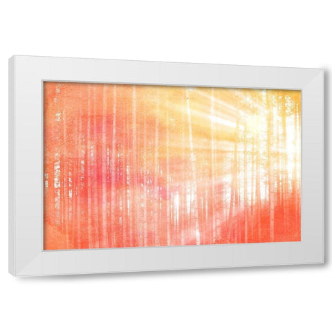 Forest Brights White Modern Wood Framed Art Print by Kimberly, Allen