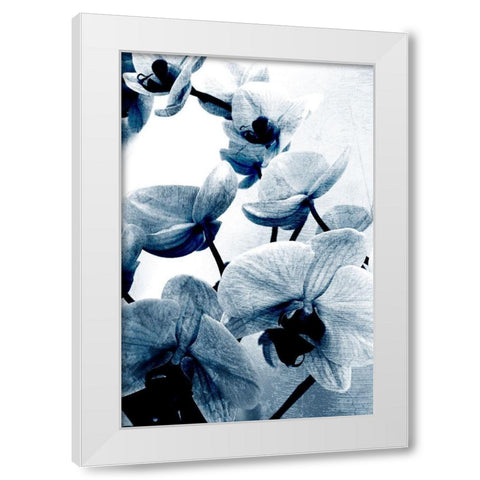 Climbing Orchids White Modern Wood Framed Art Print by Kimberly, Allen