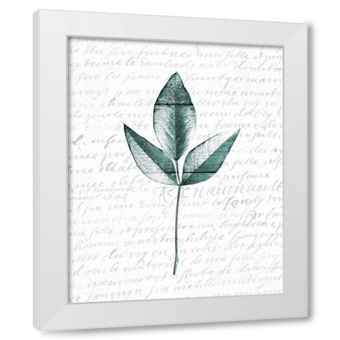 Pressed Leaves 2 White Modern Wood Framed Art Print by Kimberly, Allen