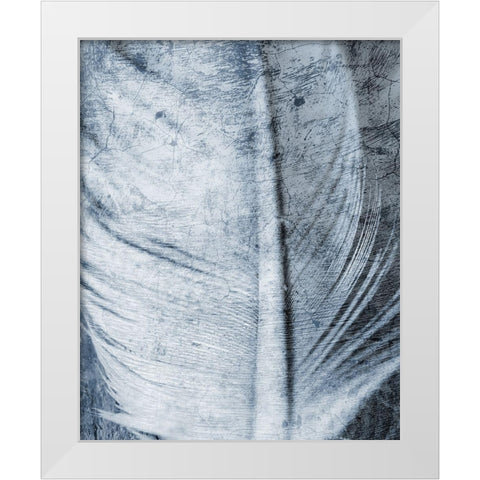 Up Close Feather 1 White Modern Wood Framed Art Print by Kimberly, Allen