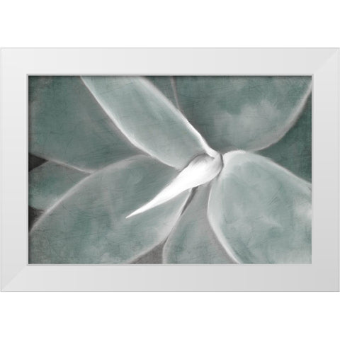 Succulent Center White Modern Wood Framed Art Print by Kimberly, Allen