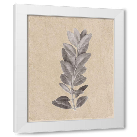 Blue Leaf Print 2 White Modern Wood Framed Art Print by Kimberly, Allen