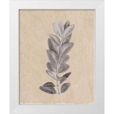 Blue Leaf Print 2 White Modern Wood Framed Art Print by Kimberly, Allen
