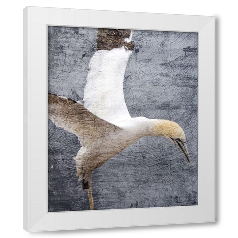 In Flight 1 White Modern Wood Framed Art Print by Kimberly, Allen