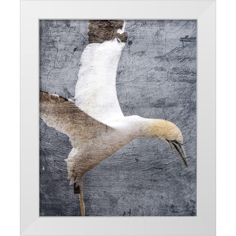 In Flight 1 White Modern Wood Framed Art Print by Kimberly, Allen
