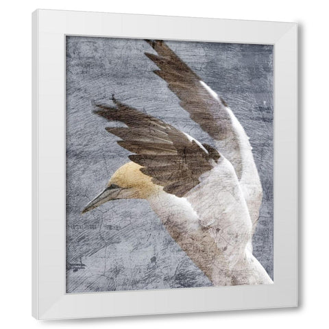 In Flight 2 White Modern Wood Framed Art Print by Kimberly, Allen