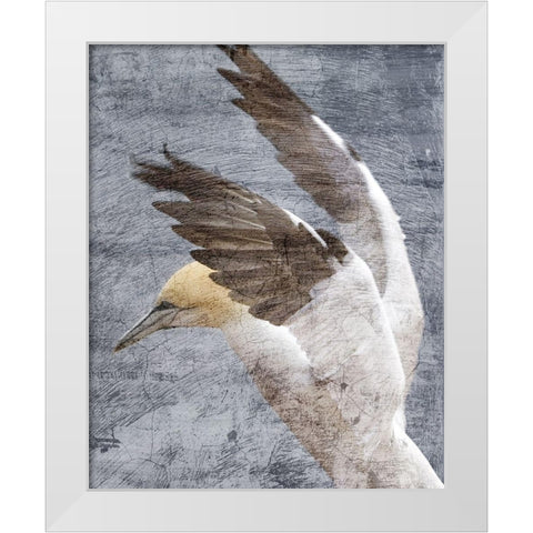 In Flight 2 White Modern Wood Framed Art Print by Kimberly, Allen