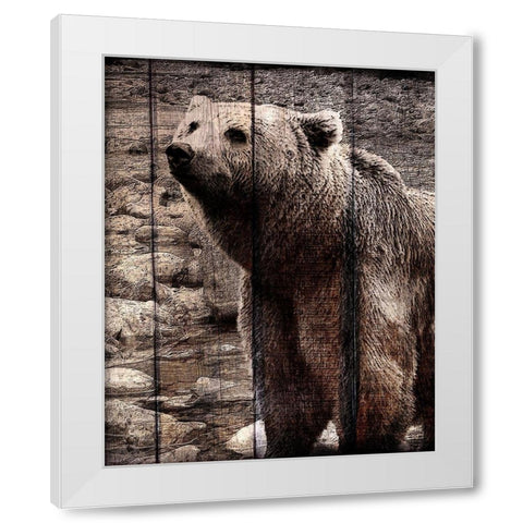 Into the Woods 3 White Modern Wood Framed Art Print by Kimberly, Allen