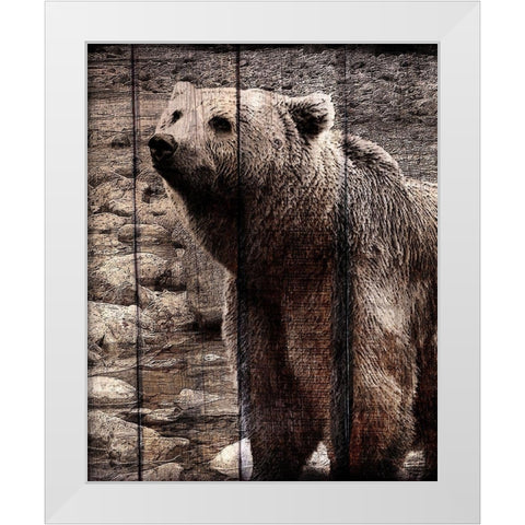 Into the Woods 3 White Modern Wood Framed Art Print by Kimberly, Allen