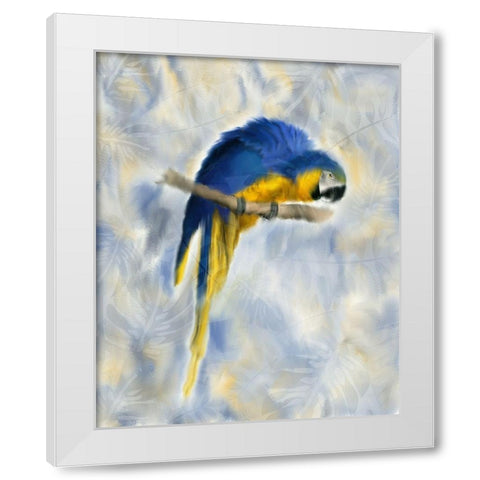 Parrot 1 White Modern Wood Framed Art Print by Kimberly, Allen