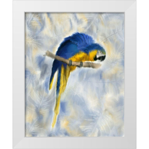 Parrot 1 White Modern Wood Framed Art Print by Kimberly, Allen