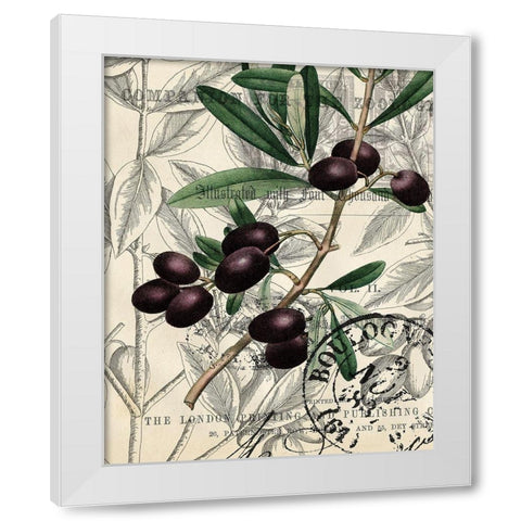 Olive Love 1 White Modern Wood Framed Art Print by Kimberly, Allen
