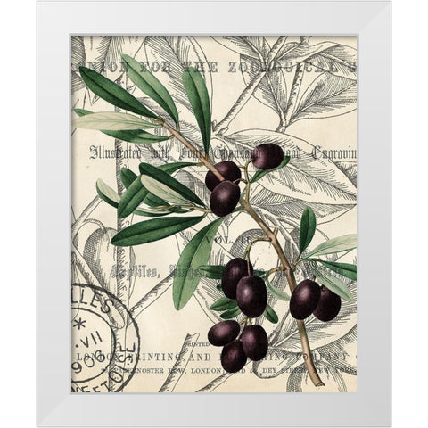 Olive Love 2 White Modern Wood Framed Art Print by Kimberly, Allen