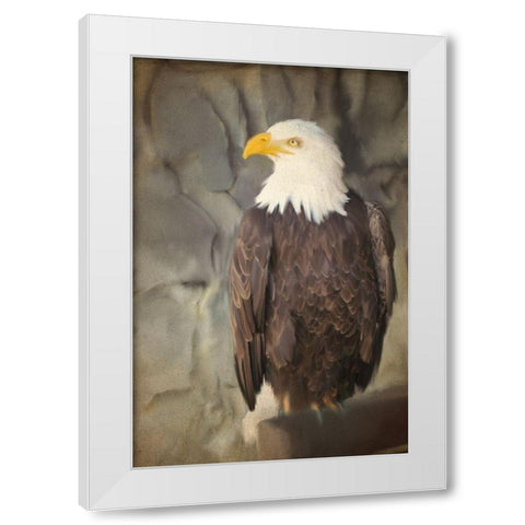 Perched White Modern Wood Framed Art Print by Kimberly, Allen