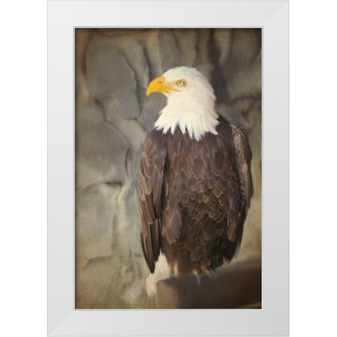 Perched White Modern Wood Framed Art Print by Kimberly, Allen