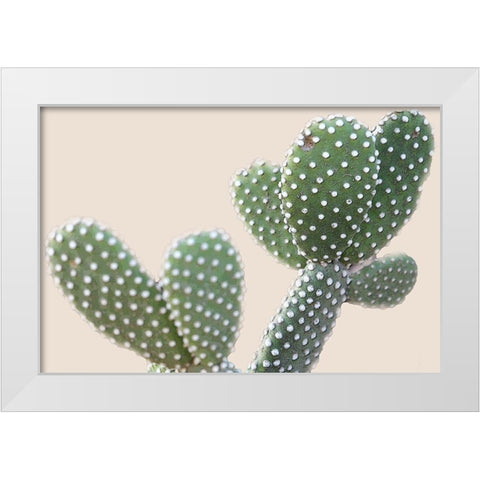 Blush Cactus 1 White Modern Wood Framed Art Print by Kimberly, Allen