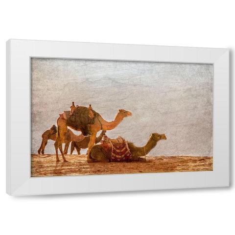 In the Desert White Modern Wood Framed Art Print by Kimberly, Allen