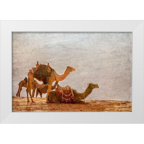 In the Desert White Modern Wood Framed Art Print by Kimberly, Allen