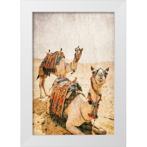 At rest White Modern Wood Framed Art Print by Kimberly, Allen