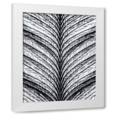 Black and White Feather 1 White Modern Wood Framed Art Print by Kimberly, Allen