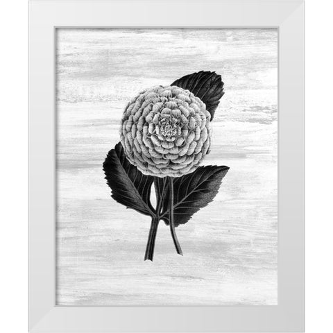 Botanical Flower 3 White Modern Wood Framed Art Print by Kimberly, Allen
