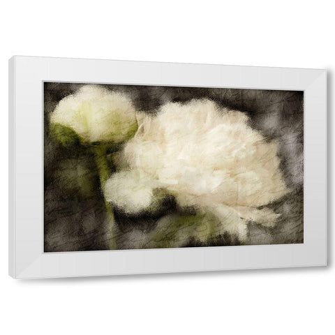 Peony Blooming White Modern Wood Framed Art Print by Kimberly, Allen