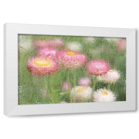Pink Wild White Modern Wood Framed Art Print by Kimberly, Allen