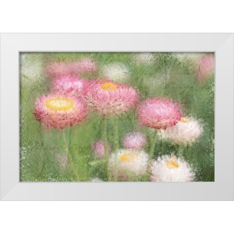 Pink Wild White Modern Wood Framed Art Print by Kimberly, Allen
