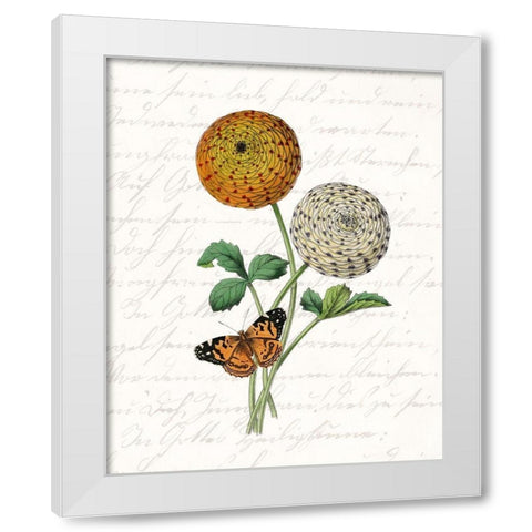 Dahlia 1 White Modern Wood Framed Art Print by Kimberly, Allen