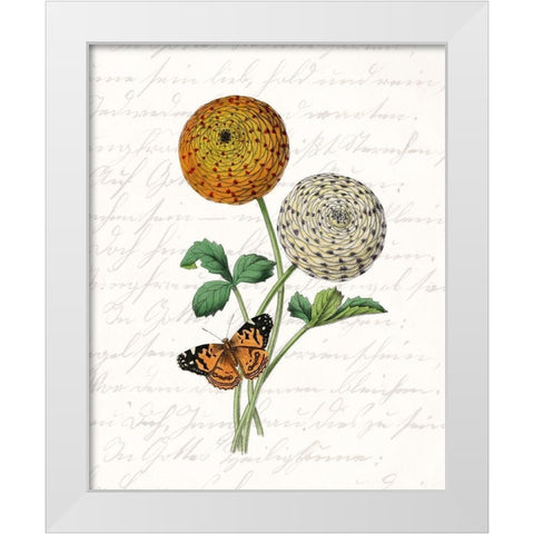 Dahlia 1 White Modern Wood Framed Art Print by Kimberly, Allen