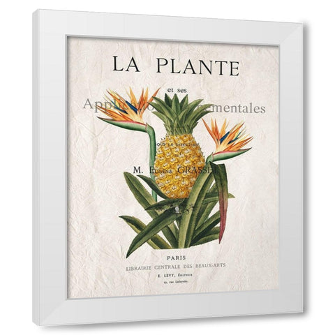 La Plante White Modern Wood Framed Art Print by Kimberly, Allen