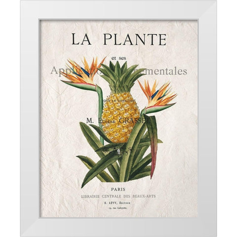 La Plante White Modern Wood Framed Art Print by Kimberly, Allen
