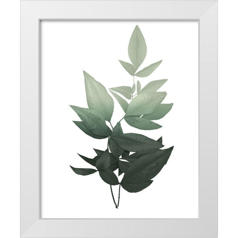 Botanical Greens 1 White Modern Wood Framed Art Print by Kimberly, Allen