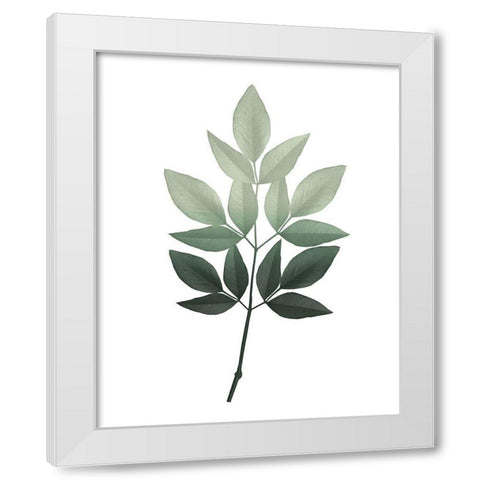 Botanical Greens 2 White Modern Wood Framed Art Print by Kimberly, Allen